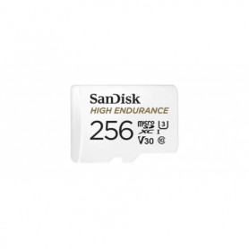 Card de Memorie MicroSDXC SanDisk, 256GB, Clasa 10, Reading speed: 100MB/s