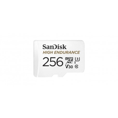 Card de Memorie Micro Secure Digital Card SanDisk, 256GB, Clasa 10, Reading speed: 100MB/s